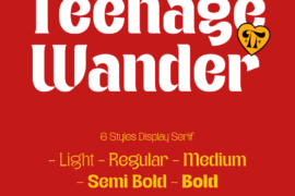 Demo Teenage Wander Font Family
