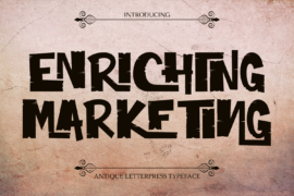 ENRICHING MARKETING DEMO Font
