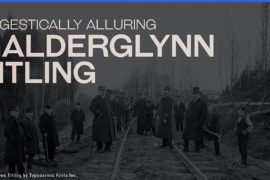 Galderglynn Titling Font Family