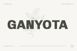 Ganyota Personal use Font Family