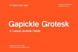 Gapicle Grotesk Font Family