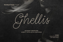 Ghellis Demo Font Family
