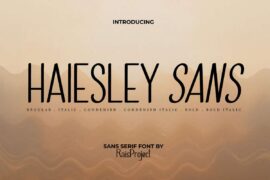 Haiesley Sans Demo Font Family
