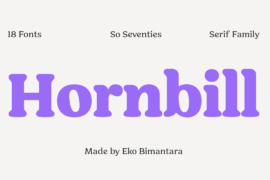 Hornbill Personal Use Font Family