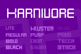 Karnivore Font Family