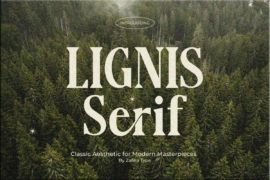 Lignis Font