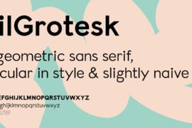 Lil Grotesk Font Family