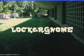 Lockergnome Font