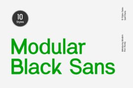 Modular Black Sans Font Family