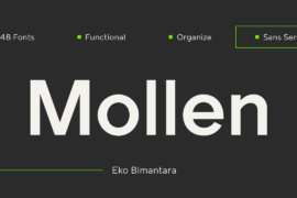 Mollen Personal Use Font Family