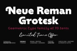 Neue Reman Gt Font Family
