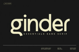 Nt Ginder Font