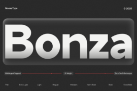 NV Bonza Demo Font Family