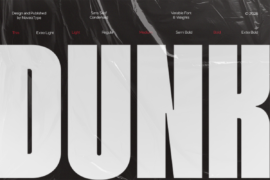 NV Dunk Demo Font Family