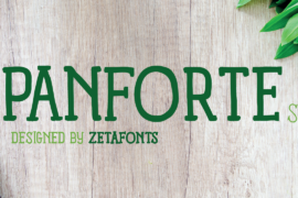 Panforte Serif Font Family