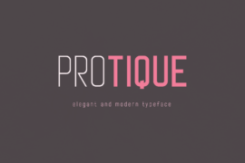 Protique Font Family