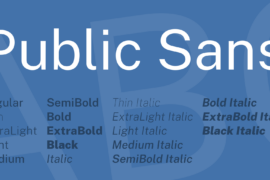 Public Sans Font Family