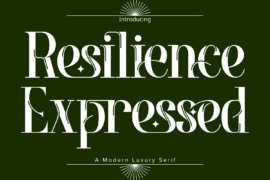 Resilience Expressed Demo Font