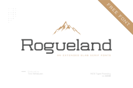 Rogueland Slab Font Family