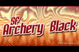 SF Archery Black Font Family