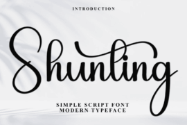 Shunting Font