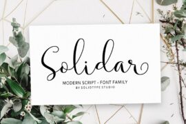 Solidar Font Family