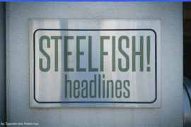 Steelfish Font Family