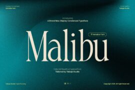 TBJ Malibu Mini Edition Font Family