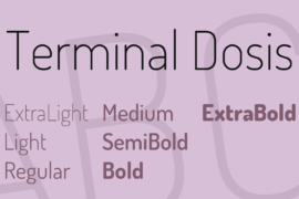 Terminal Dosis Font Family
