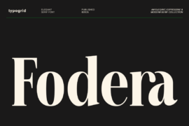 TG Fodera DEMO Font