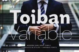 Toiban Font Family