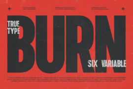 TRT Burn Demo Font Family