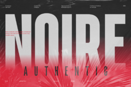 TRT Noire Authentic Demo Font Family