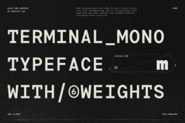 TRT Terminal Mono Demo Font Family