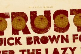 TRUST PERSONAL USE Font