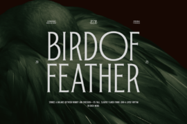 TT Bird Of Feather Mini Edtn Font Family