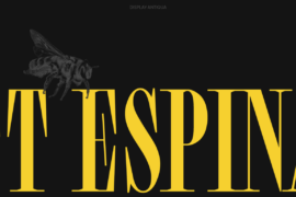 TT Espina Trial Font Family