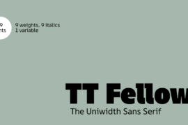 TT Fellows Trial Font Family
