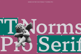 TT Norms Pro Serif Trl Font Family