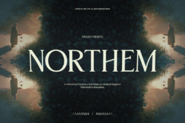 TT Northem Mini Edition Font Family