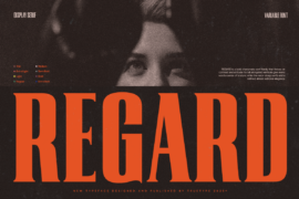 TT REGARD DEMO Font Family