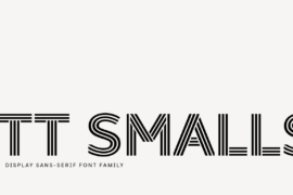 TT Smalls Trial Font Family