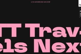 TT Travels Next Trl Font Family