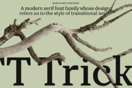 TT Tricks Trial Font Family