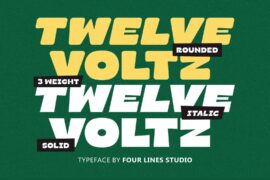 Twelve Voltz Font Family