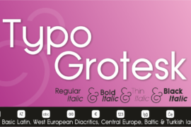 Typo Grotesk Font Family