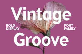 VintageGroove Font Family