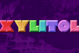 Xylitol Font Family