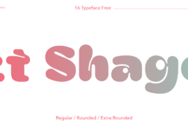 Zt Shago Font Family