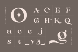 Aseno Modern Demo Font